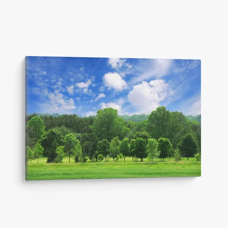 Leinwandbild sommerlicher grüner wald unter blauem himmel
