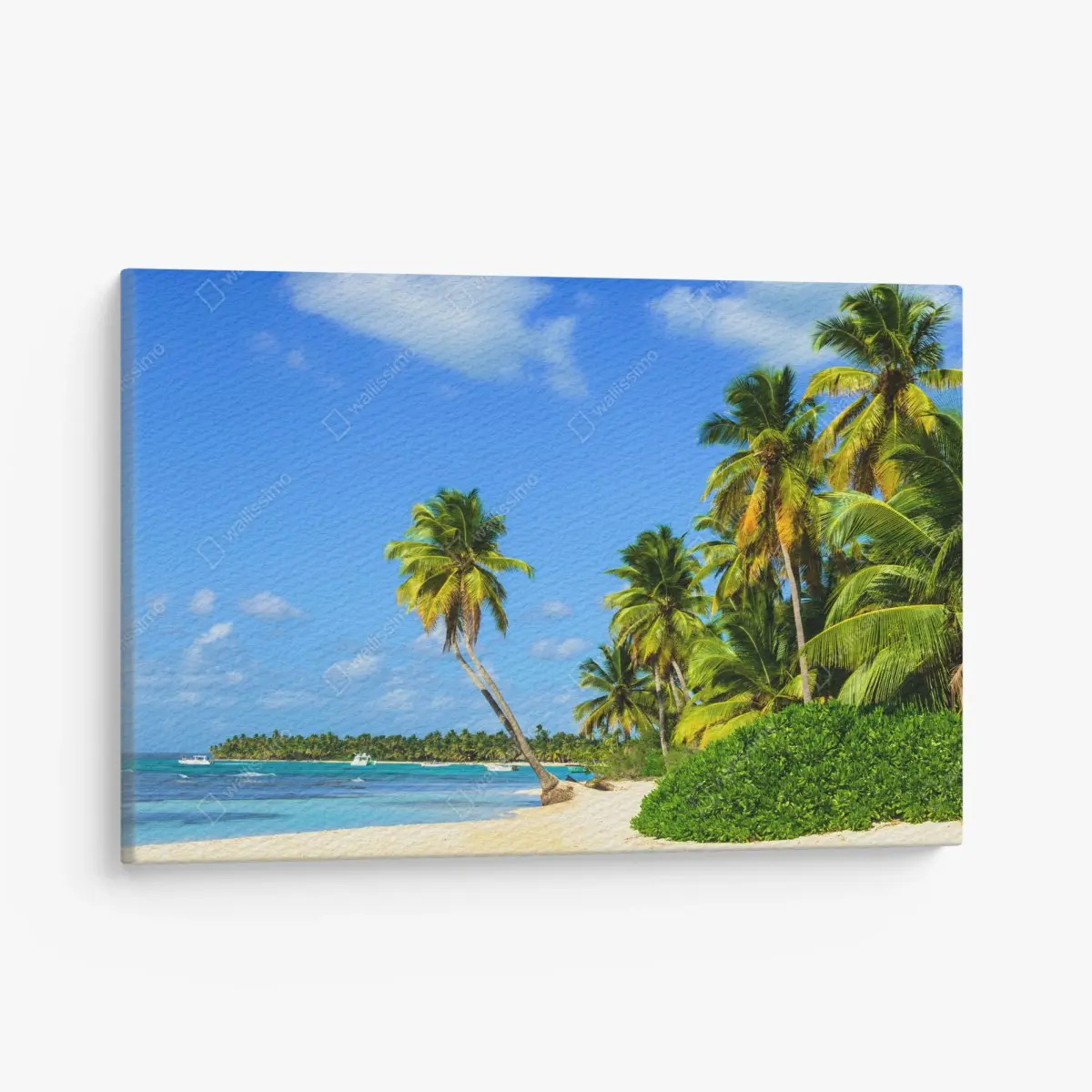 Leinwandbild tropischer palmenstrand – Pixers®