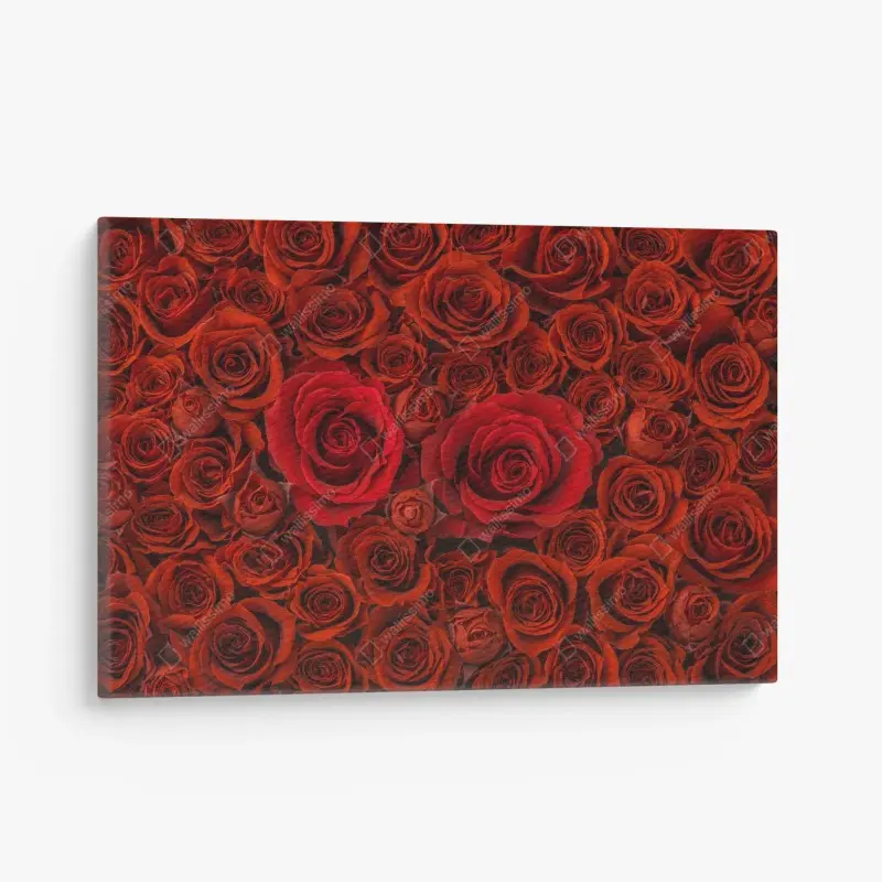 Leinwandbild prunkvolle collage roter rosen
