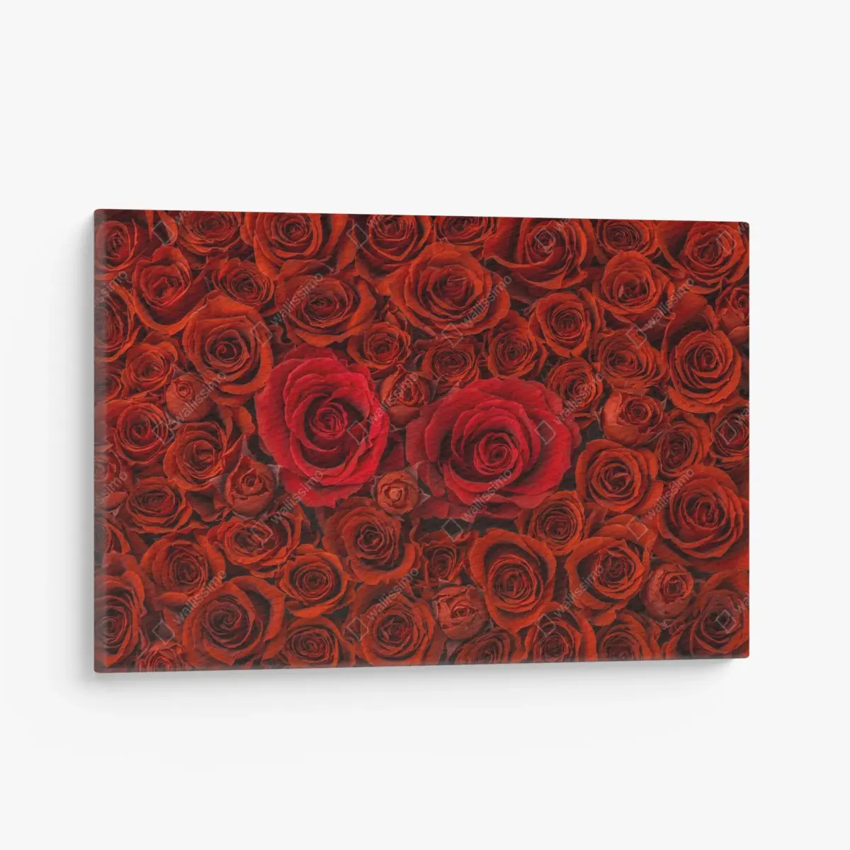 Leinwandbild prunkvolle collage roter rosen – Pixers®