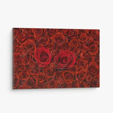 Leinwandbild prunkvolle collage roter rosen – Pixers®