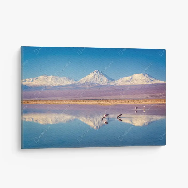Leinwandbild Laguna Chaxa mit flamingos und Licancabur