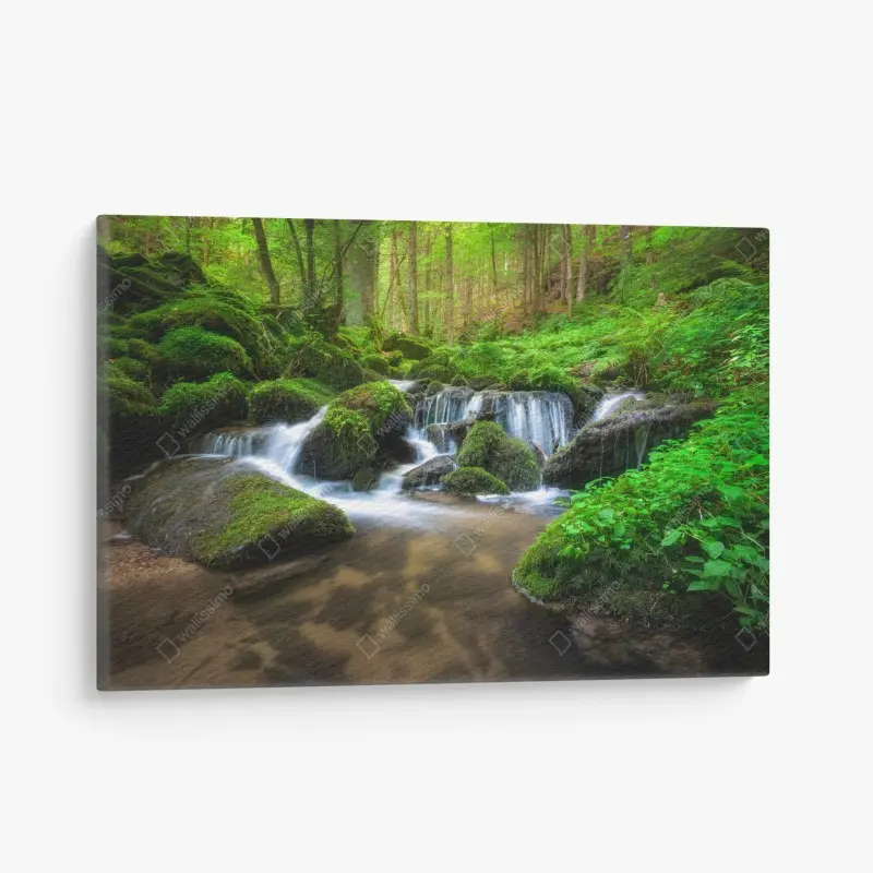 Leinwandbild ruhiger moosiger waldwasserfall