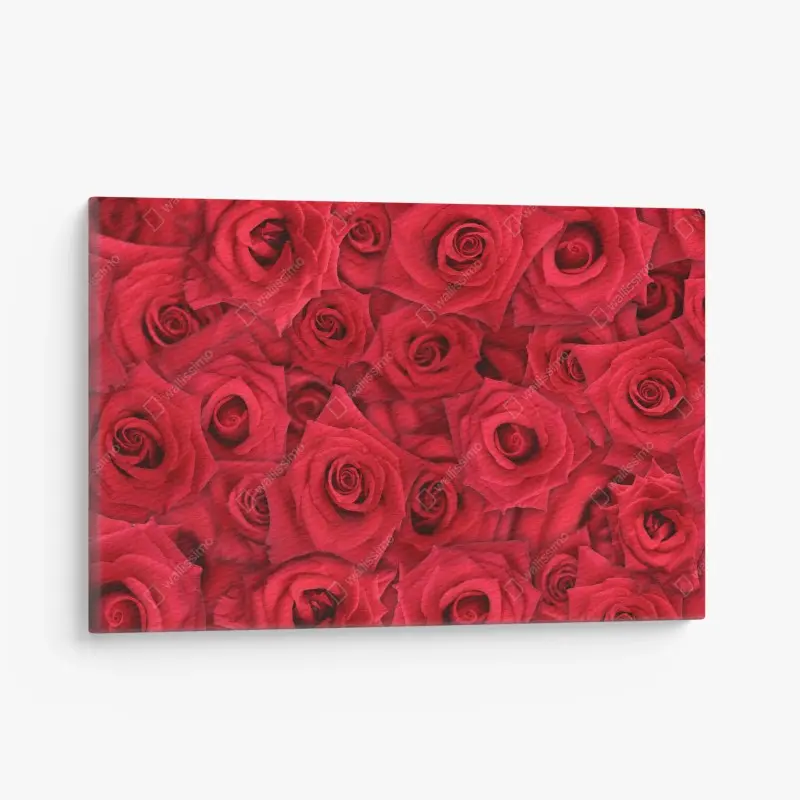 Leinwandbild leuchtende rote rosen collage
