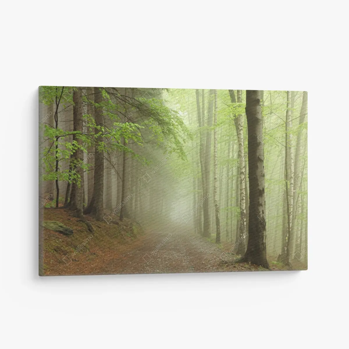 Leinwandbild nebliger waldpfad – Pixers®