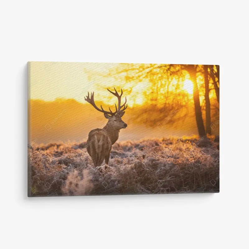 Leinwandbild goldener hirsch im sonnenaufgang