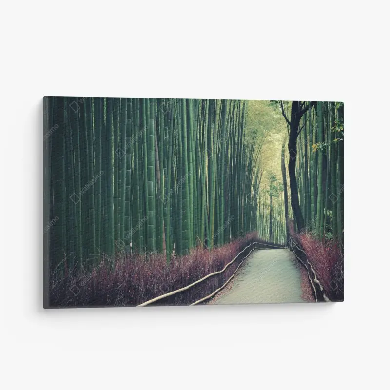 Leinwandbild ruhiger bambuspfad in Arashiyama