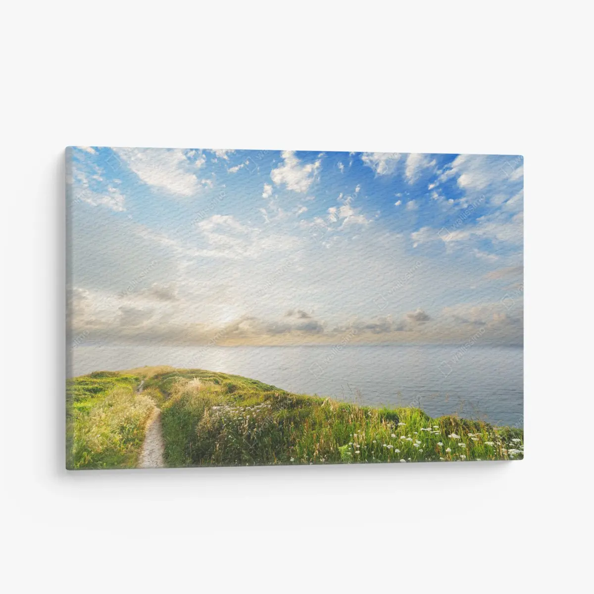 Leinwandbild sonniger küstenpfad zum meer – Pixers®