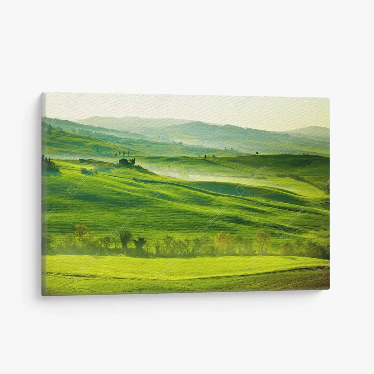 Leinwandbild sonnige sanft hügelnde landschaft der Toskana – Pixers®