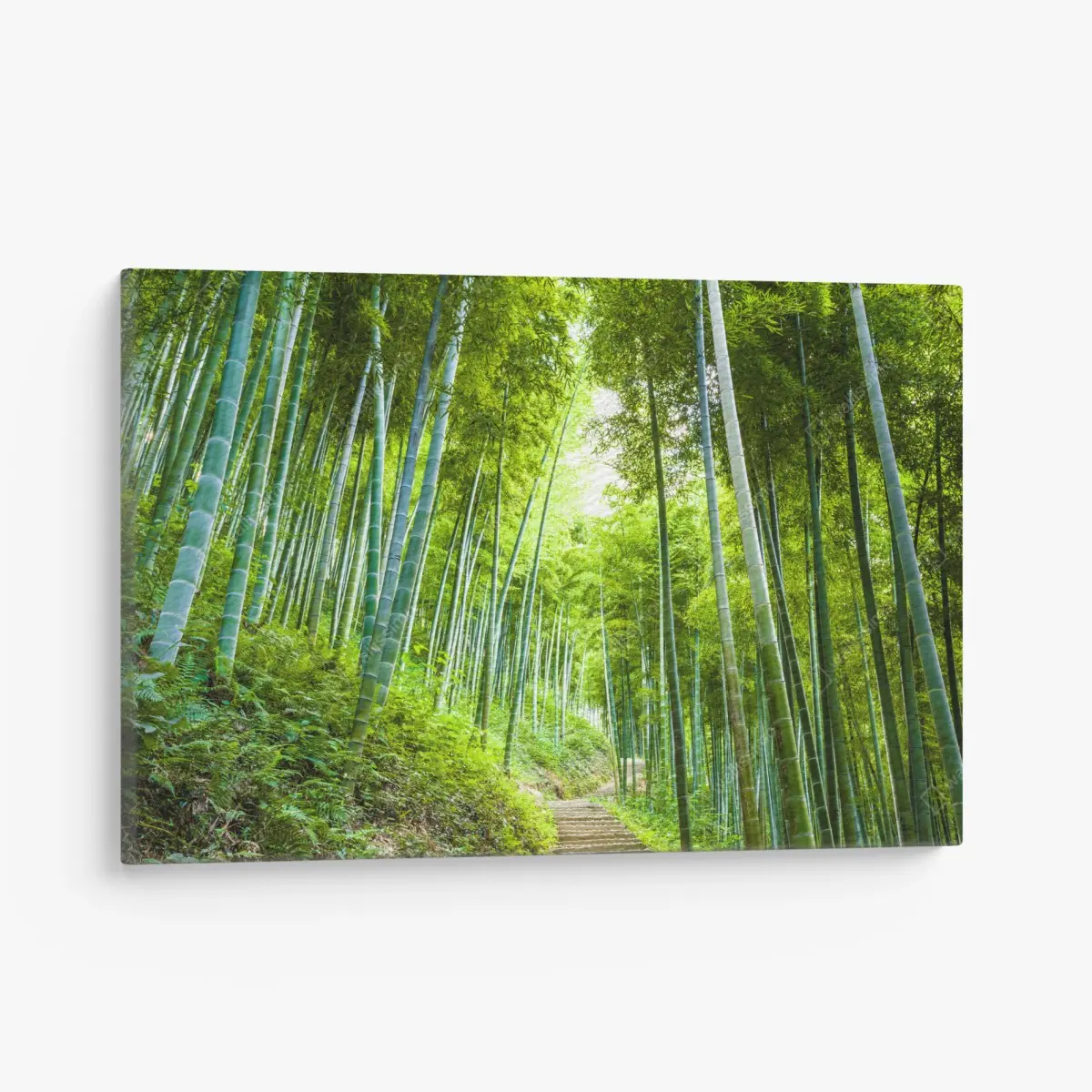 Leinwandbild ruhiger bambuswaldweg – Pixers®