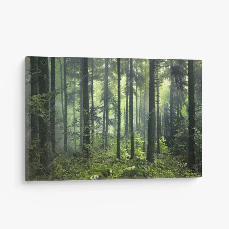 Leinwandbild mystischer grüner frühlingswald