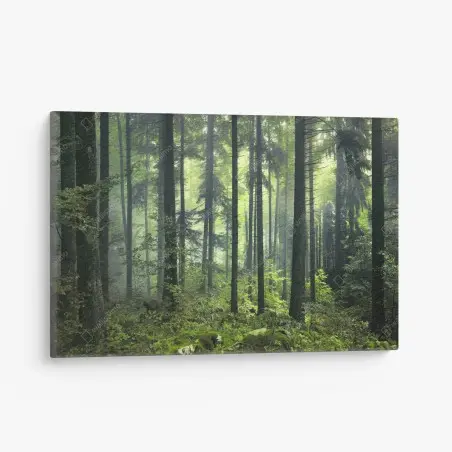 Leinwandbild mystischer grüner frühlingswald – Pixers®