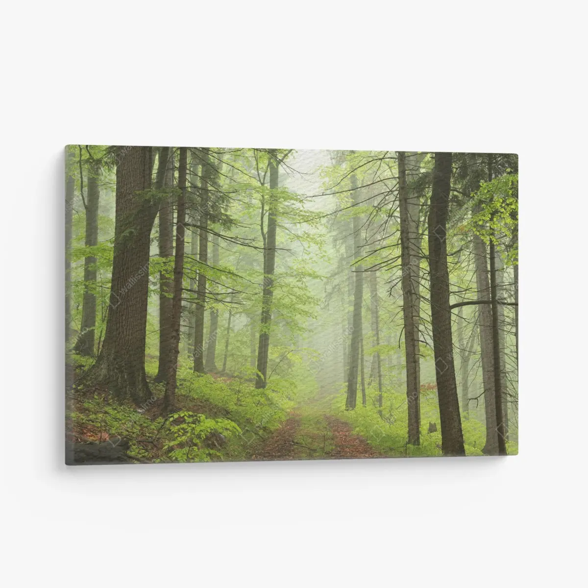 Leinwandbild nebliger grüner waldpfad – Pixers®