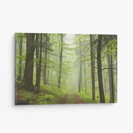 Leinwandbild nebliger grüner waldpfad – Pixers®