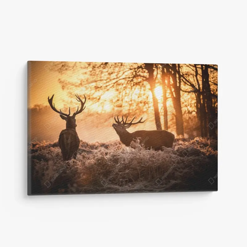 Leinwandbild goldener sonnenaufgang mit hirschen auf frostiger wiese