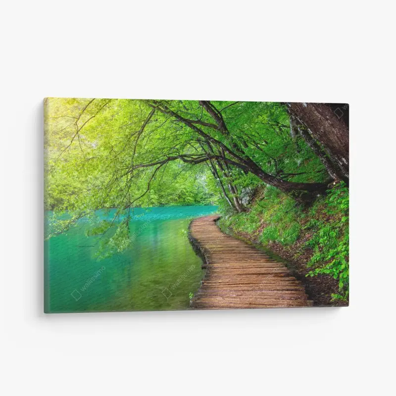 Leinwandbild ruhiger holzsteg am see im grünen wald