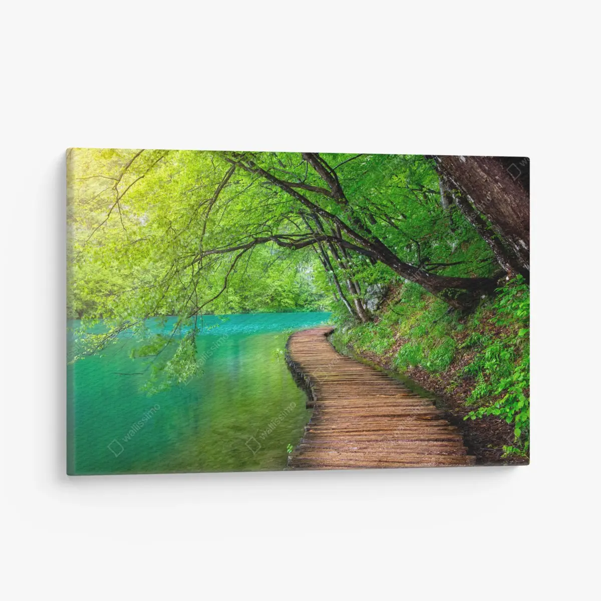 Leinwandbild ruhiger holzsteg am see im grünen wald – Pixers®