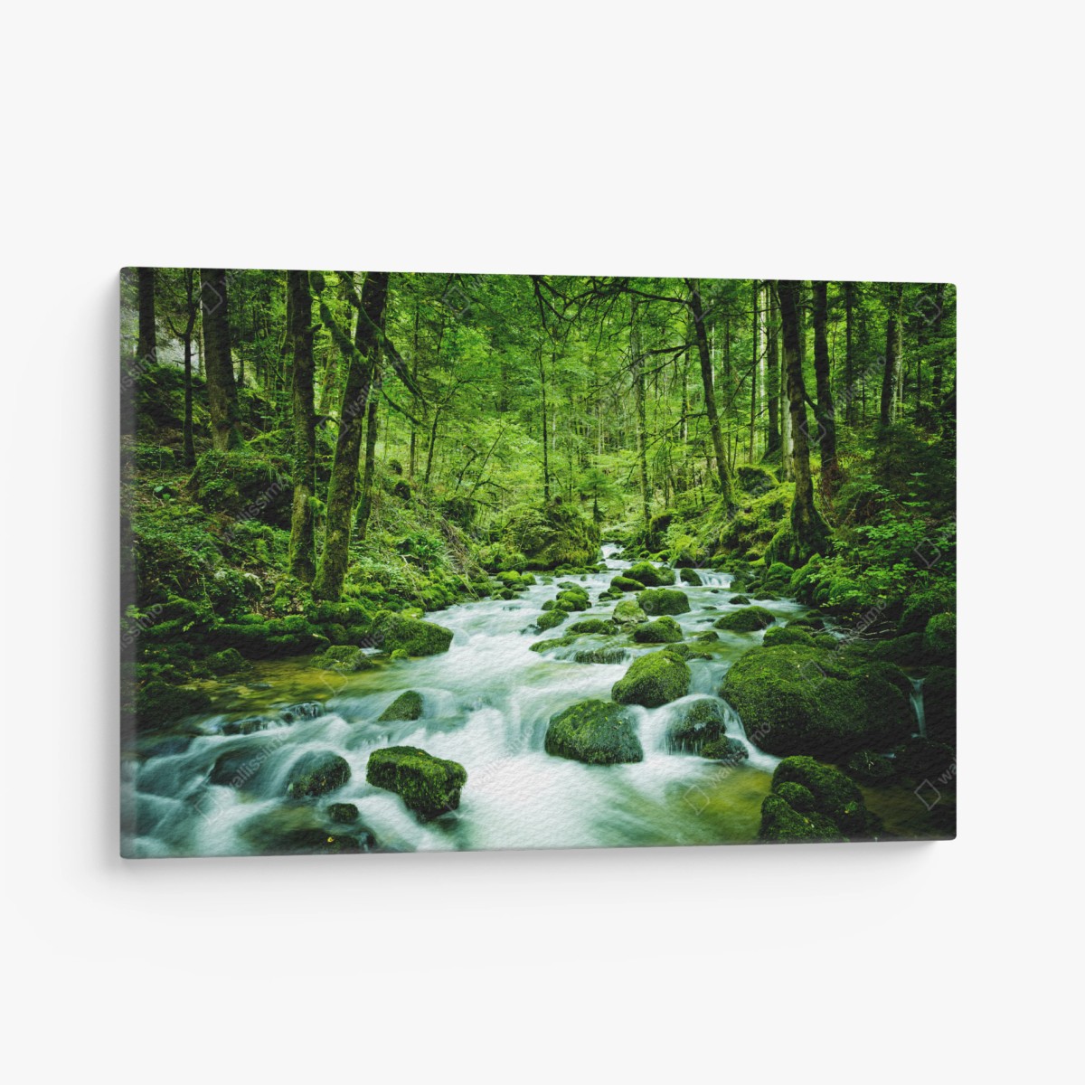 Leinwandbild moosbedeckter waldbach – Pixers®