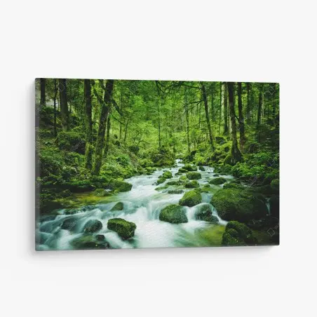 Leinwandbild moosbedeckter waldbach – Pixers®