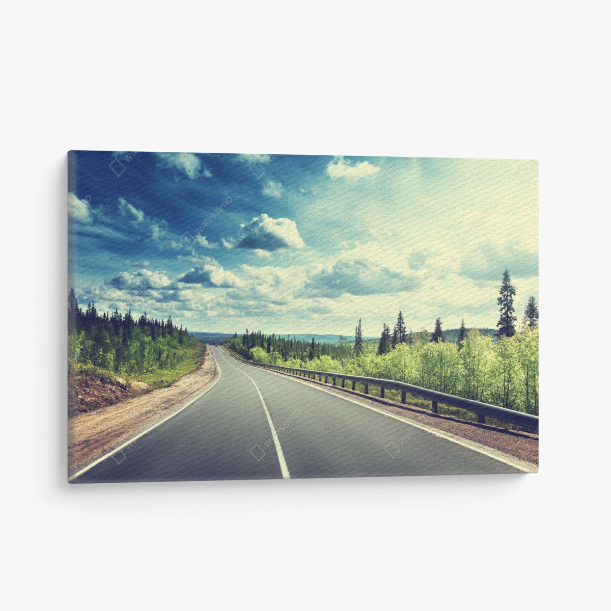 Leinwandbild sonnenbeschienene waldstraße bis zum horizont – Pixers®
