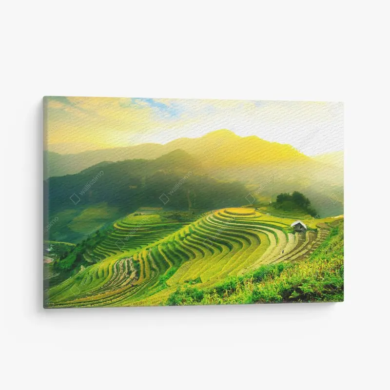 Leinwandbild goldene reisterrassen im morgenlicht