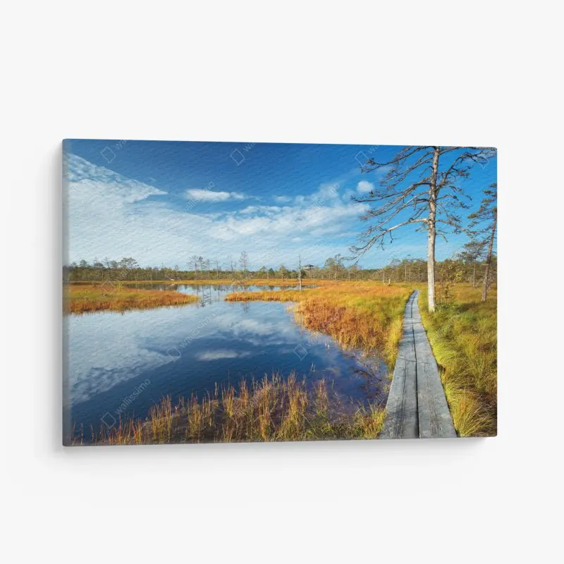 Leinwandbild herbststeg über ruhigem moor
