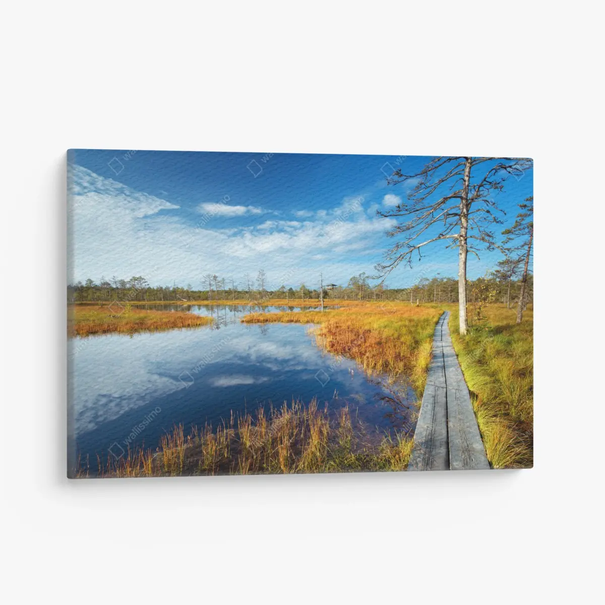 Leinwandbild herbststeg über ruhigem moor – Pixers®