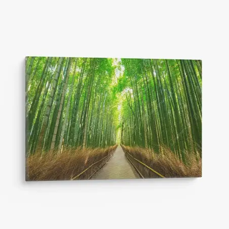 Leinwandbild ruhiger bambusweg in Kyoto – Pixers®