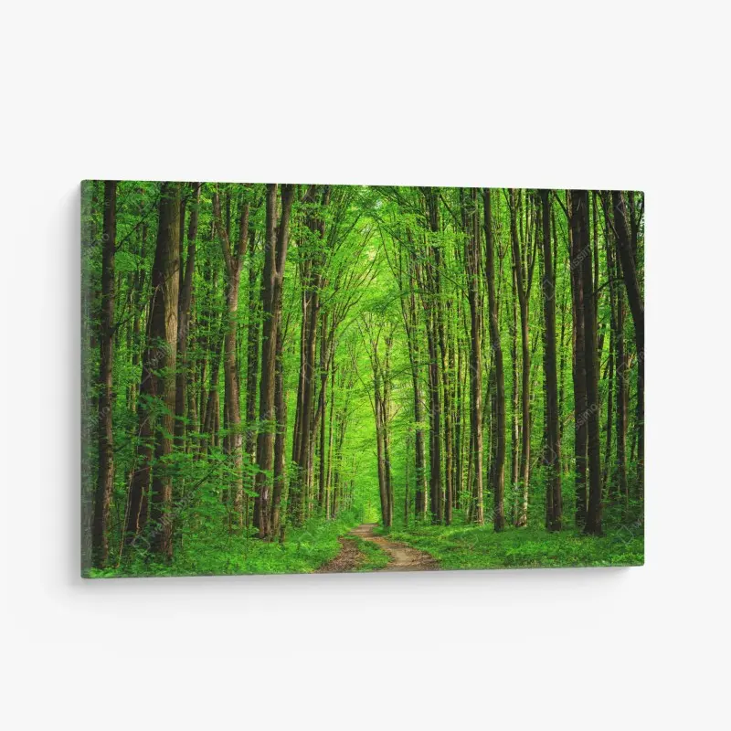 Leinwandbild üppiger grüner waldweg