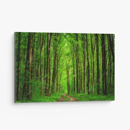 Leinwandbild üppiger grüner waldweg – Pixers®