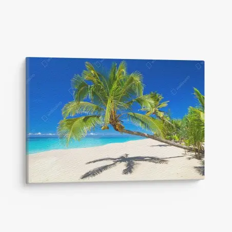 Leinwandbild Andamansee tropischer strand mit geneigter palme – Pixers®