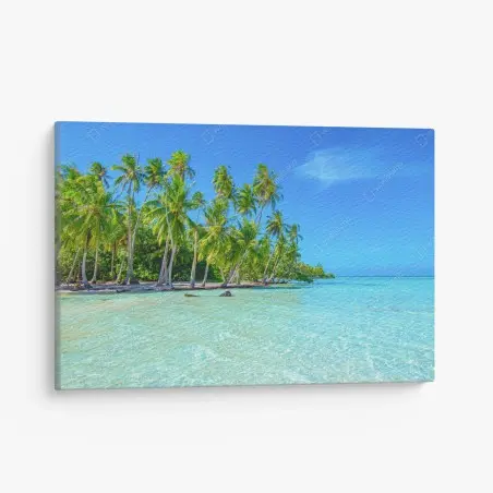 Leinwandbild tropischer palmenstrand – Pixers®