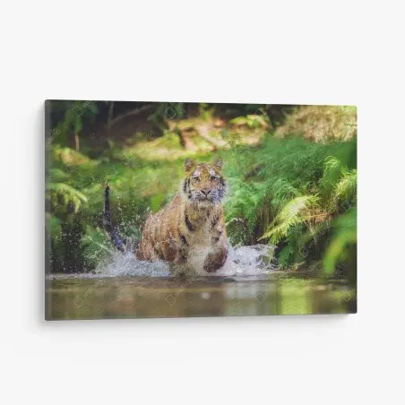Leinwandbild majestätischer tiger im waldbach – Pixers®