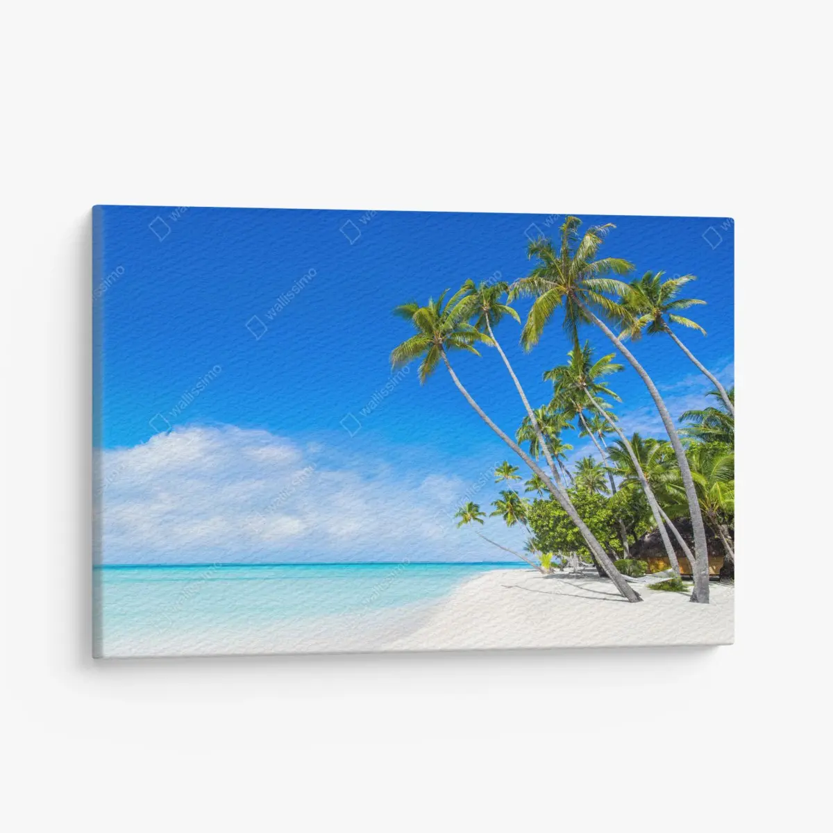 Leinwandbild tropischer palmenstrand – Pixers®