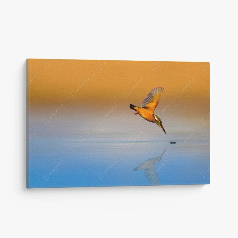 Leinwandbild eisvogel beim tauchen über spiegelndem wasser