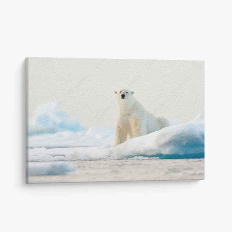 Leinwandbild eisbär auf eis in der Arktis, Svalbard