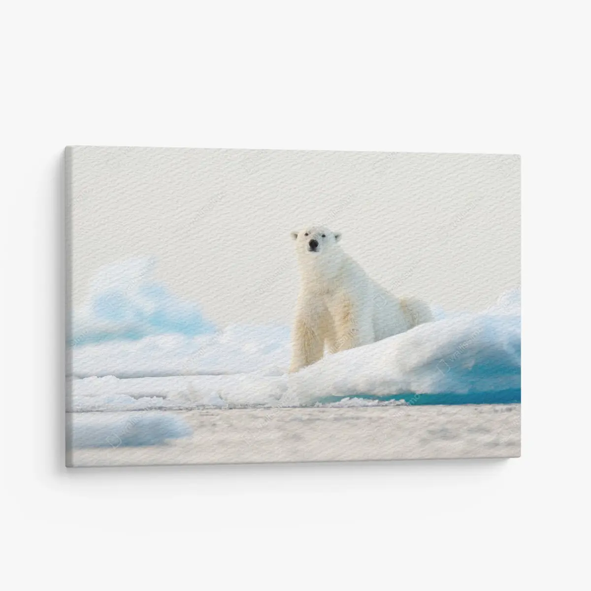 Leinwandbild eisbär auf eis in der Arktis, Svalbard – Pixers®