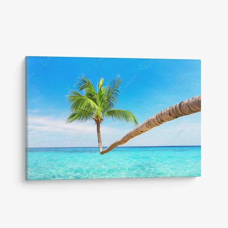 Leinwandbild tropische palme in Punta Cana