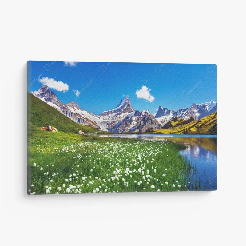 Leinwandbild alpensee mit blumenwiese und berggipfeln