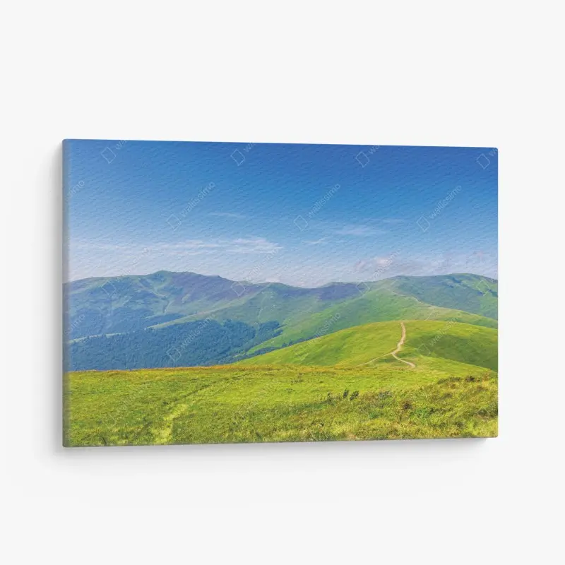 Leinwandbild sonnige Borzhava-wiese, Transkarpatien, Ukraine