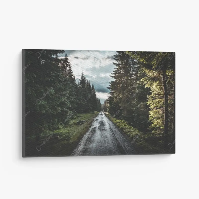 Leinwandbild waldweg durch neblige kiefern
