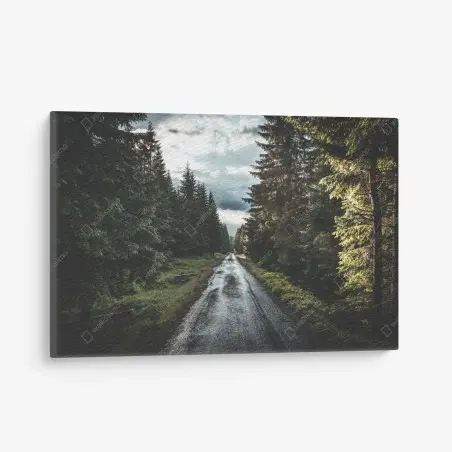 Leinwandbild waldweg durch neblige kiefern – Pixers®