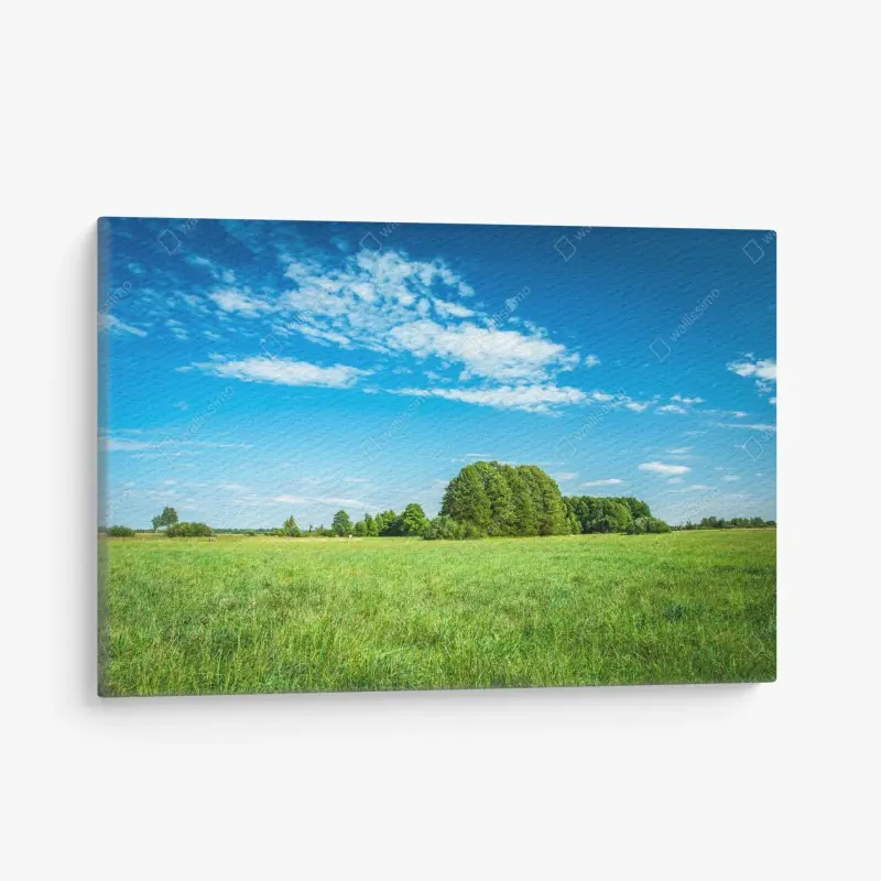 Leinwandbild sonnige grüne wiese unter blauem himmel