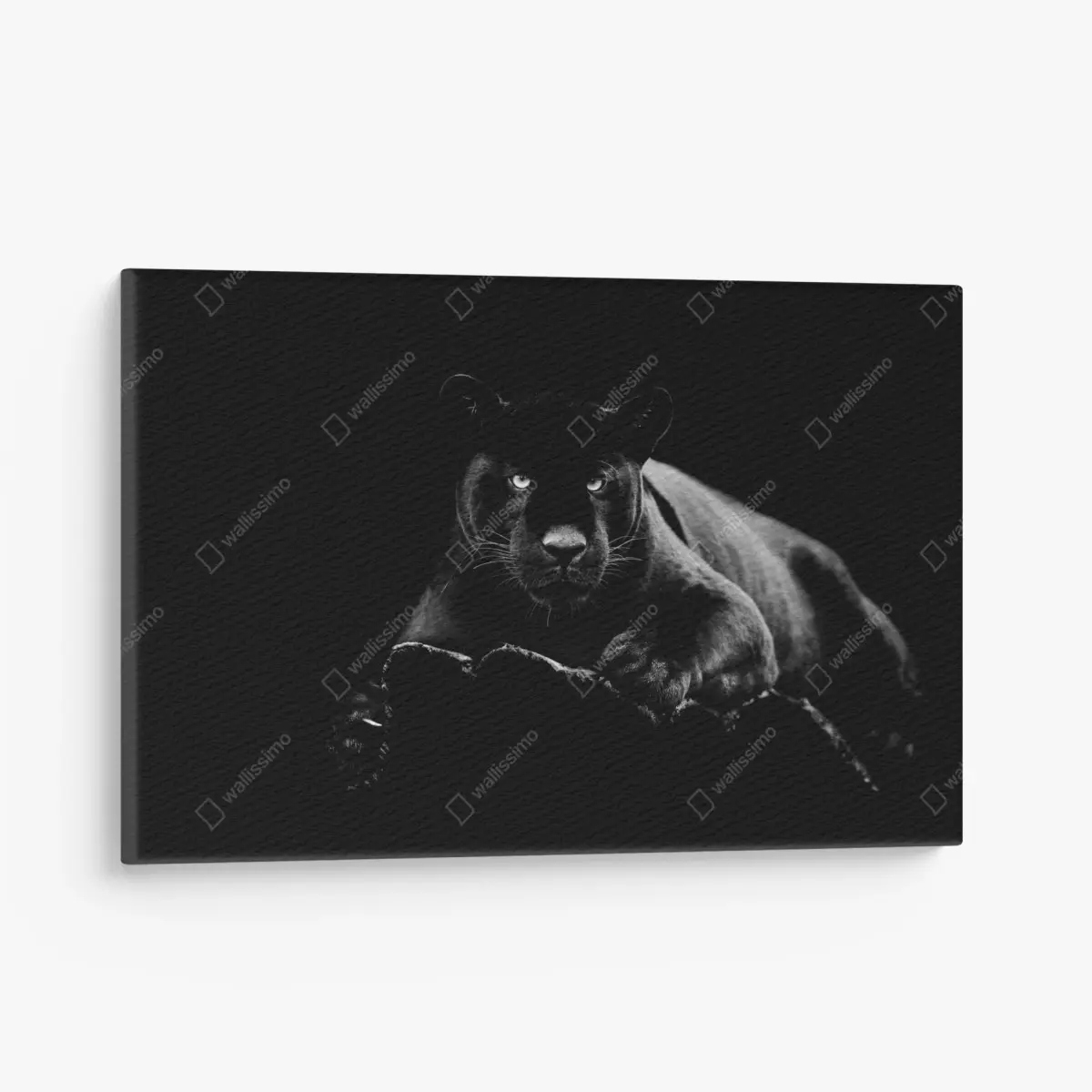 Leinwandbild majestätisches porträt eines schwarzen panthers – Pixers®