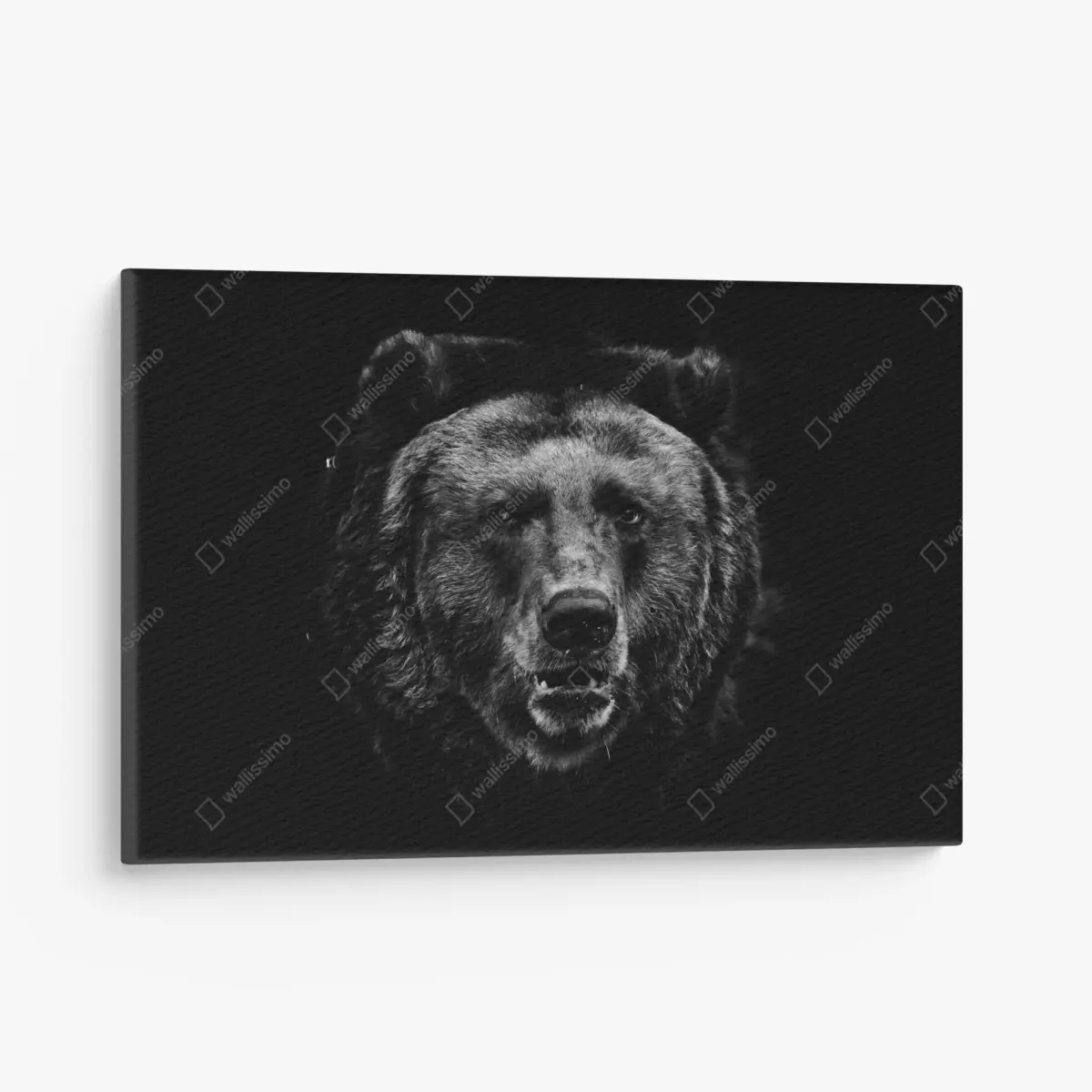 Leinwandbild düsteres grizzly-porträt in monochrom – Pixers®
