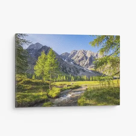 Leinwandbild alpine wiese mit bergbach – Pixers®