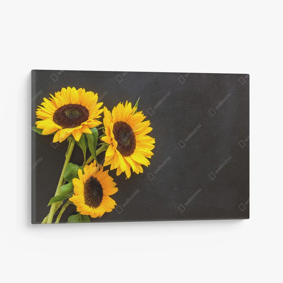 Leinwandbild sonnenblumenstrauß auf schwarzem hintergrund – Pixers®