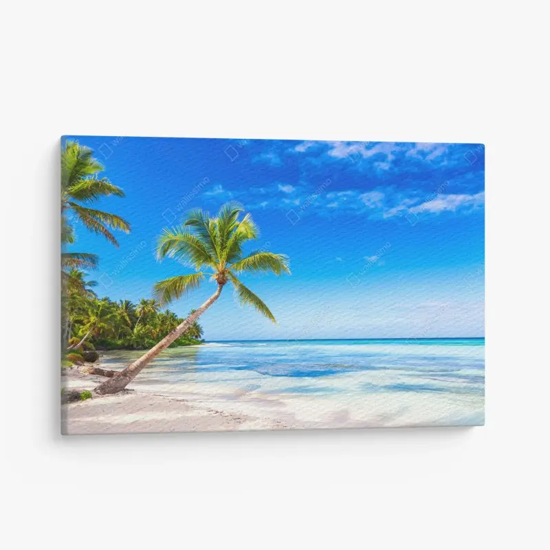 Leinwandbild tropischer palmenstrand
