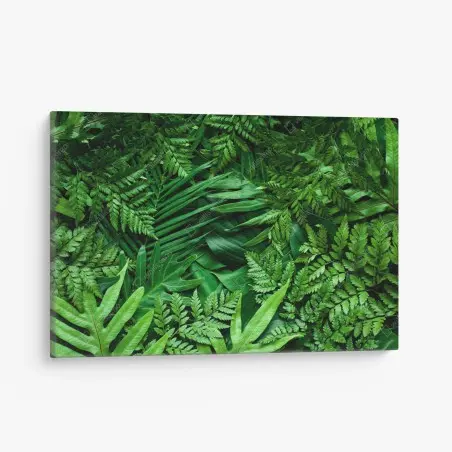 Leinwandbild üppiges grünes blättermuster – Pixers®