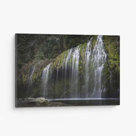 Leinwandbild moosiger wasserfall im wald – Pixers®